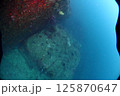 海底の風景 125870647