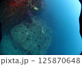 海底の風景 125870648