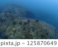 海底の風景 125870649