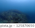 海底の風景 125870650