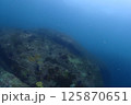 海底の風景 125870651