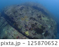 海底の風景 125870652