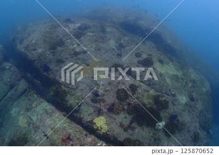 海底の風景 125870652