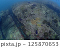 海底の風景 125870653