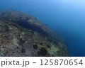 海底の風景 125870654