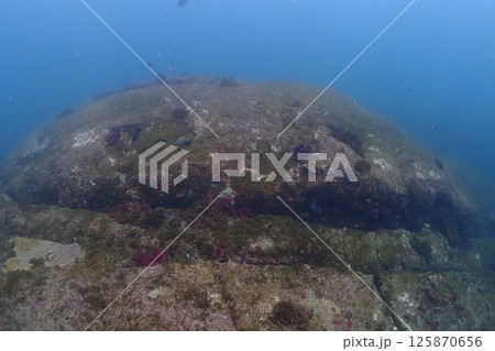 海底の風景 125870656