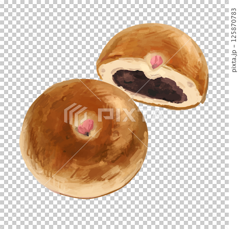 Realistic Sakura Anpan illustration Realistic Sakura Anpan illustration 125870783