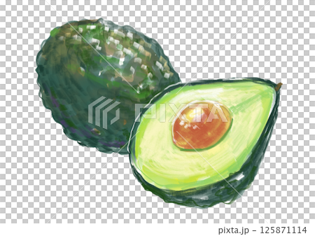 新鮮美味的酪梨水彩插圖 新鮮美味的酪梨水彩插圖 125871114