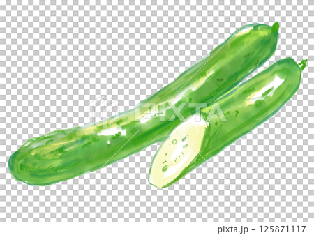 Fresh and delicious cucumber watercolor illustration Fresh and delicious cucumber watercolor illustration 125871117