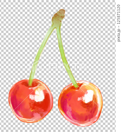 新鮮美味的櫻桃水彩插圖 新鮮美味的櫻桃水彩插圖 125871120