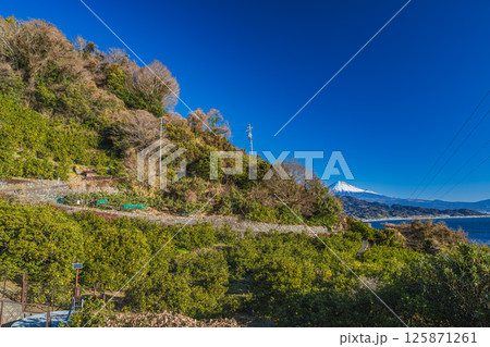 静岡市の薩埵峠から見る富士山(静岡県) 125871261