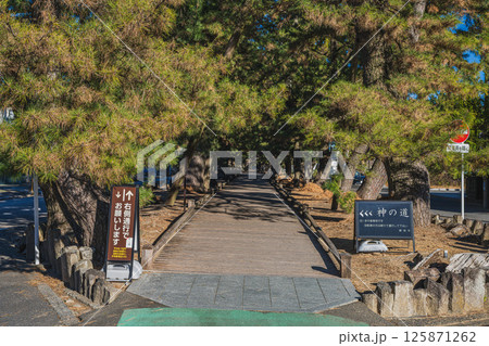静岡市にある三保松原の神の道の風景(静岡県) 125871262