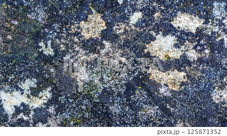 Natural Rock Background 125871352