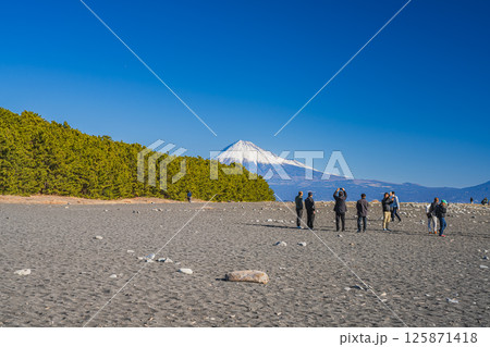 静岡市にある三保松原から見る松林と富士山(静岡県) 125871418