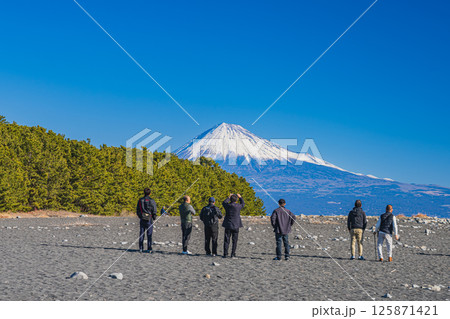 静岡市にある三保松原から見る松林と富士山(静岡県) 125871421