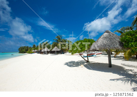 tropical Maldives island with white sandy beach and sea. palm 125871562