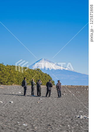 静岡市にある三保松原から見る松林と富士山(静岡県) 125871608