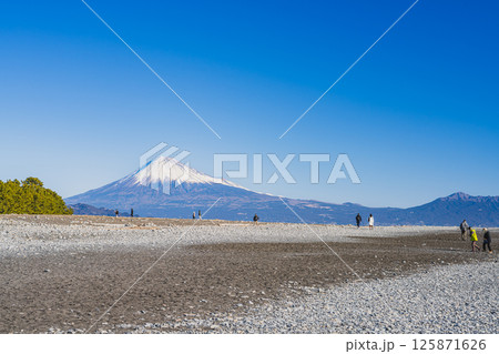 静岡市にある三保松原から見る松林と富士山(静岡県) 125871626