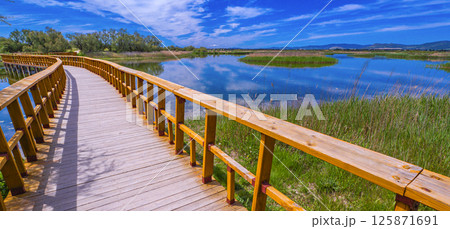 Tablas de Daimiel National Park, Spain 125871691