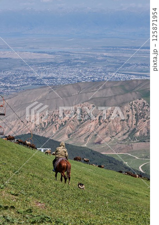 shepherd on horseback grazes a flock of sheep 125871954