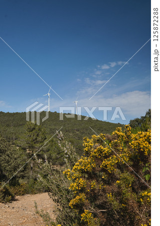 Wind turbine group in Spain Wind turbine group in Spain 125872288