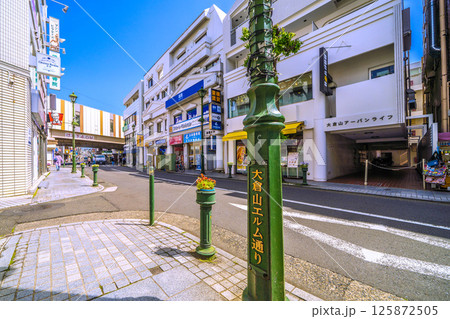 日本の横浜都市景観 大倉山駅や大倉山エルム通りなどを望む 125872505