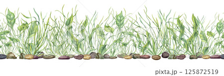 Underwater green kelps on pebbles watercolor horizontal seamless banner isolated background. Sea plants, grass, stones pattern for aquarium decor, nautical content, eco friendly packaging, labels 125872519