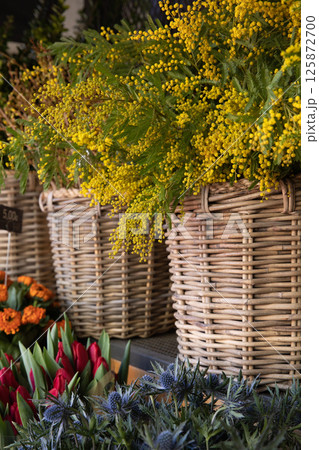 Baskets full of fresh cut Acacia Dealbata, also known as silver wattle or mimosa at the greek garden flower shop in spring. Vertical. Selective focus. 125872700