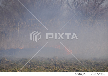 Fire on a plot of dry grass, burning of dry grass and reeds Fire on a plot of dry grass, burning of dry grass and reeds 125872985