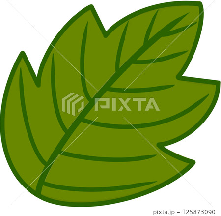 Beautiful shape and green colors tone of fresh leaves. Beautiful shape and green colors tone of fresh leaves. 125873090