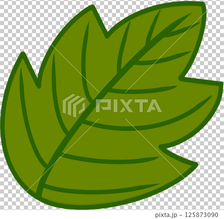Beautiful shape and green colors tone of fresh leaves. Beautiful shape and green colors tone of fresh leaves. 125873090