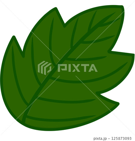 Beautiful shape and green colors tone of fresh leaves. 125873093