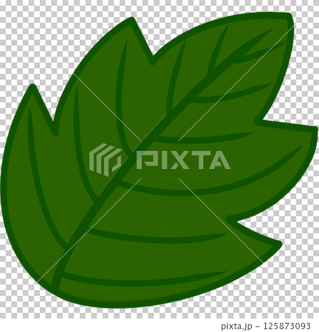 Beautiful shape and green colors tone of fresh leaves. 125873093