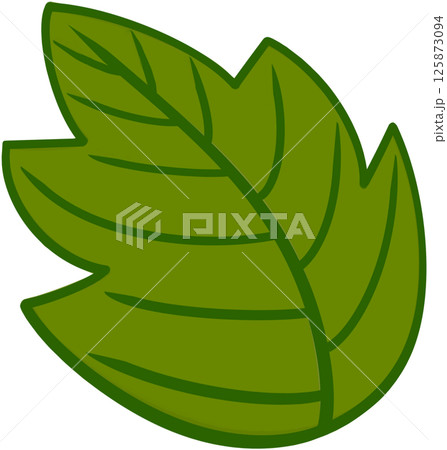 Beautiful shape and green colors tone of fresh leaves. 125873094