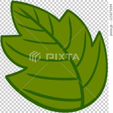 Beautiful shape and green colors tone of fresh leaves. 125873094
