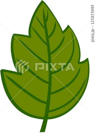 Beautiful shape and green colors tone of fresh leaves. 125873095