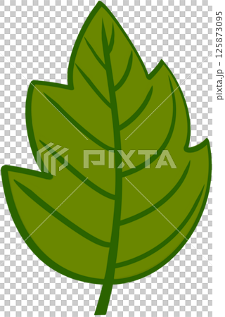 Beautiful shape and green colors tone of fresh leaves. 125873095