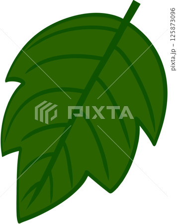 Beautiful shape and green colors tone of fresh leaves. Beautiful shape and green colors tone of fresh leaves. 125873096