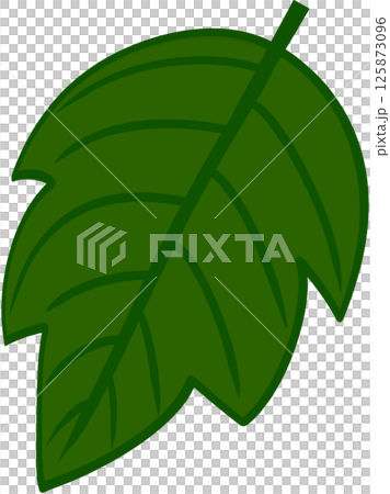 Beautiful shape and green colors tone of fresh leaves. Beautiful shape and green colors tone of fresh leaves. 125873096
