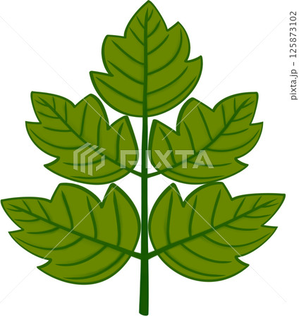 Beautiful shape and green colors tone of fresh leaves. 125873102