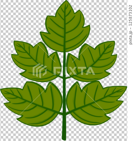 Beautiful shape and green colors tone of fresh leaves. 125873102