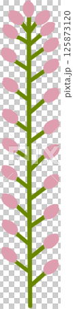 Beautiful shape and colors of pink blossom flower petals. Beautiful shape and colors of pink blossom flower petals. 125873120