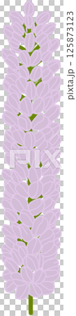 Beautiful shape and colors of purple blossom flower petals. Beautiful shape and colors of purple blossom flower petals. 125873123