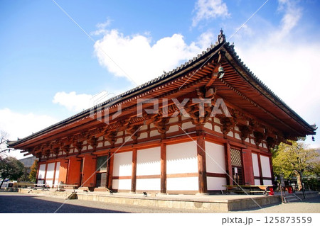 京都府　東寺・講堂（重要文化財） 京都市 南区 九条町　2022年2月 125873559