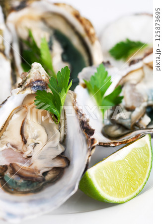 Raw oyster on white background Raw oyster on white background 125873695