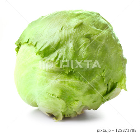 Green Iceberg lettuce 125873788