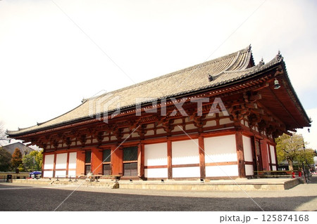 京都府　東寺・講堂（重要文化財） 京都市 南区 九条町　2022年2月 125874168