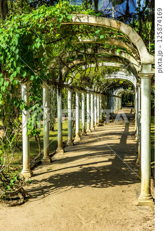 Arbor in the garden Arbor in the garden 125874169