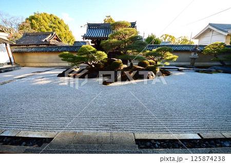 京都府　東寺 観智院・涅槃禄の庭「長者の庭」枯山水 京都市 南区 九条町　2022年2月 125874238