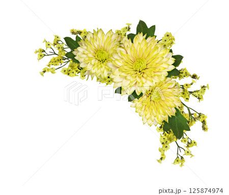 Yellow limonium flowers and chrysanthemums in a corner floral arrangement isolated background Yellow limonium flowers and chrysanthemums in a corner floral arrangement isolated background 125874974